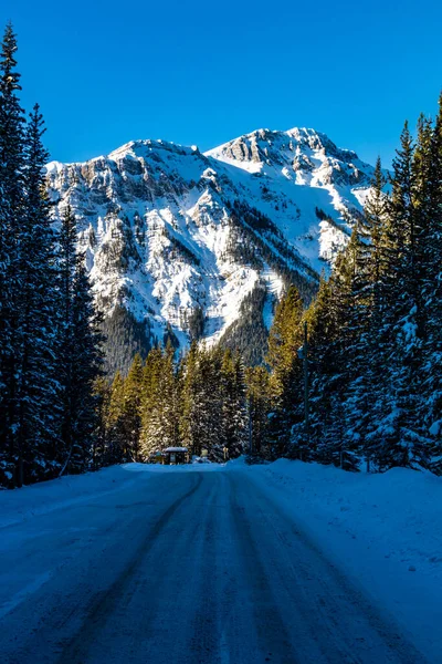 Mont Fortune Parc Provincial Peter Lougheed — Photo