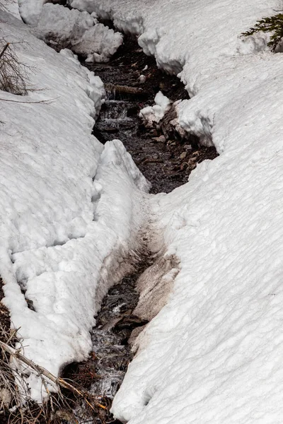 Έσκασε Από Δρόμο Peter Lougheed Provincial Park Αλμπέρτα Καναδάς — Φωτογραφία Αρχείου