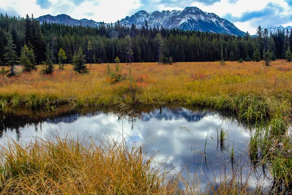 Kilátás Széléről Egy Autóval Parkban Peter Lougheed Tartományi Park — Stock Fotó