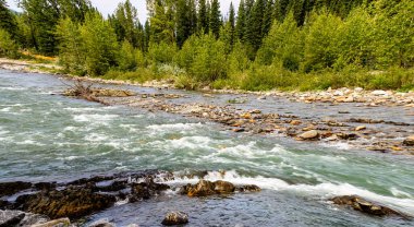 Bragg Creek çok hızlı ilerliyor. Bragg Creek İl Parkı, Alberta, Kanada.