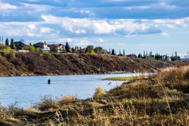 Bow Nehri parkın içinden akar. Fish Creek İl Parkı. Alberta, Kanada