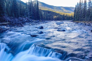 Koyun Nehri şelaleye doğru gidiyor. Koyun Nehri İl Parkı. Alberta, Kanada