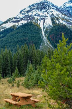 Parkta bir gezintiye çıkmış Roadisde 'den görüntüler. Sprey Vadisi İl Parkı