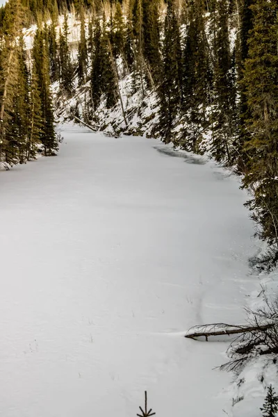 Hiver Empare Fermement Parc North Ghost Provincial Recreation Area Alberta — Photo