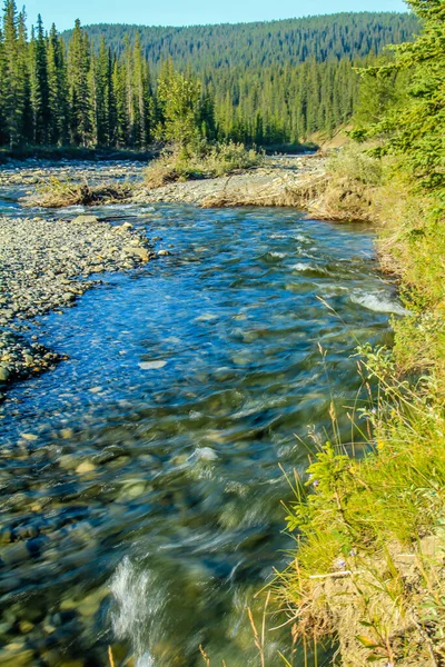 Waiprous Creek Wanders Park North Ghost Provincial Recreation Area Alberta — Stock Photo, Image