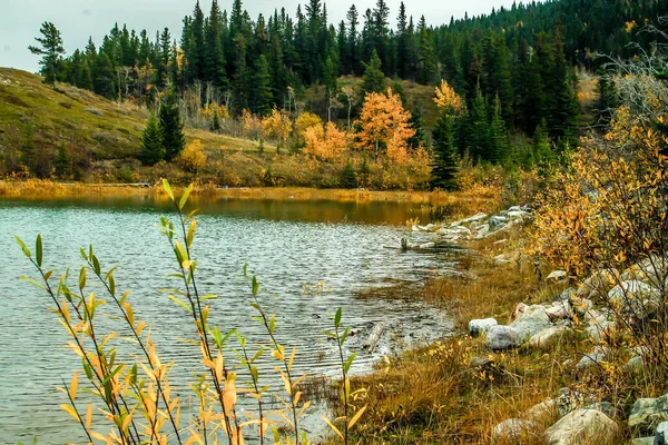 Vroege Herfst Sneeuw Langs Het Meer Sibbald Lake Provincial Recreation — Stockfoto