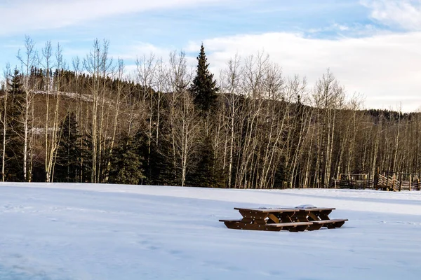 Deep snow covers the picnic area. Station Flats Provincial Recreation Area, Alberta, Canada