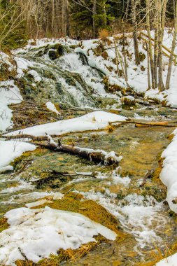 Parkta bir kar örtüsü kararır. Big Hill Springs İl Rekreasyon Bölgesi. Alberta, Kanada