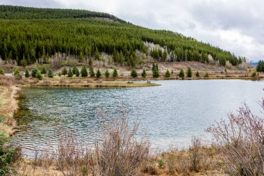 Elk Gölü 'nün durgun suları. Elk Creek Balık Havuzu İl Rekreasyon Bölgesi, Alberta, Kanada