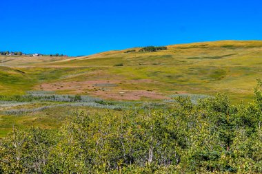 Çiftlikte yuvarlanan tepeler. Glenbow Çiftlik Bölgesi, Alberta, Kanada