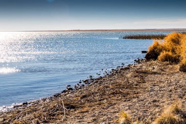 Suyun üzerinde güneş parıldıyor. McGregor Gölü İl Rekreasyon Bölgesi, Alberta, Kanada