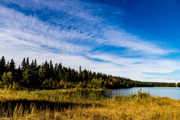 Longo Linha Costeira Lago Gleniffer Lake Provincial Recreation Area Alberta — Fotografia de Stock