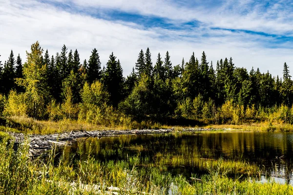 Longo Linha Costeira Lago Gleniffer Lake Provincial Recreation Area Alberta — Fotografia de Stock