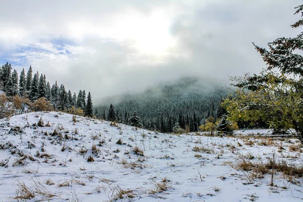 Soleil Bat Pour Traverser Les Nuages Jumping Pound Provincial Recreation — Photo