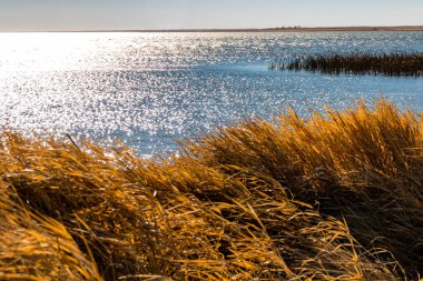 Suyun üzerinde güneş parıldıyor. McGregor Gölü İl Rekreasyon Bölgesi, Alberta, Kanada