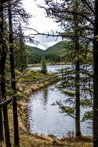 Течение Весенних Дней Озере Провинциальная Зона Отдыха Peppers Lake Альберта — стоковое фото