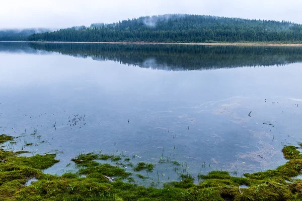 Sista Dagarna Vintern Svävar Över Sjön Swan Lake Provincial Rekreationsområde — Stockfoto