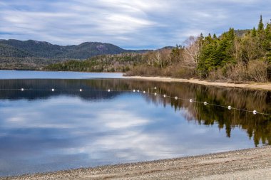 Gölün sakin tarafında yansıma var. Barachois Pond İl Parkı, Newfoundland, Kanada