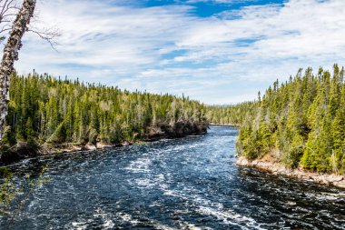 Humber Nehri parkta geziniyor. Sör Richard Squires İl Parkı, Newfoundland, Kanada