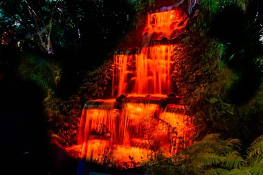 Renkli Işık Festivali. Yeni Plymouth, Yeni Zelanda