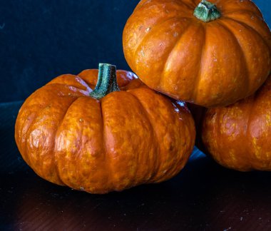 Siyah arka planda mini balkabakları. Calgary, Alberta, Kanada