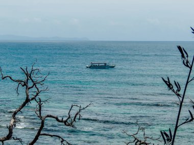 Tur teknesi turistleri Yeni Zelanda 'daki Keçi Adası' na götürüyor.