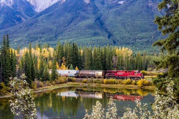 Kanada Pasifik treni Mule Shoe 'nun üzerinden geçiyor. Banff Ulusal Parkı, Alberta, Kanada