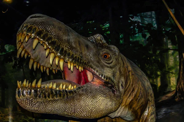 Portredeki T-Rex kafası. Drumheller. Dinozor Müzesi, Drumheller, Alberta, Kanada