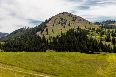Foothill bir tarlada. Kunduz Madenleri, Alberta, Kanada
