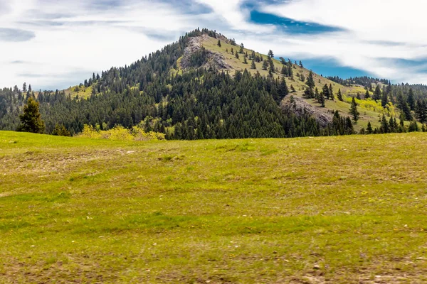 Foothill Lapangan Berang Berang Tambang Alberta Kanada — Stok Foto