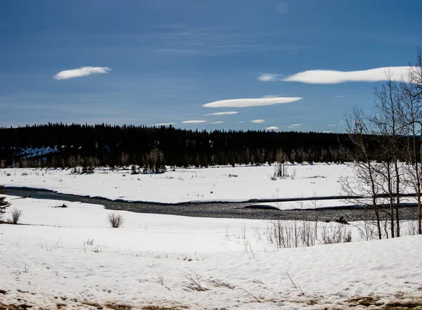 Mes Invierno Restante Paseo Kananaskis Country Alberta Canadá —  Fotos de Stock