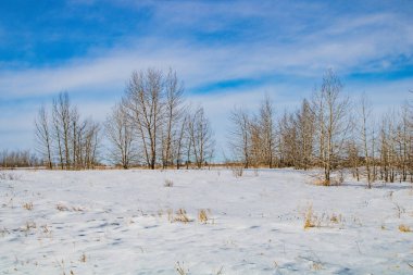 Ayak izleri ve sahada kar. Calgary, Alberta, Kanada