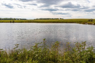 Balıkçı göletleri ve kıyı şeritleri. Crossfield, Alberta, Kanada