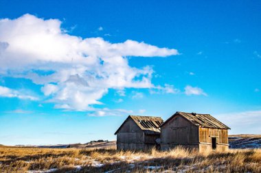 Çayırlardaki eski çiftlik binaları. Alberta, Kanada