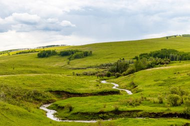 Yeşil tarlalar, göletler ve alçı gökyüzü ülkeyi baştan başa dolaşırken. Willow Creek 'in MD' si, Alberta, Kanada