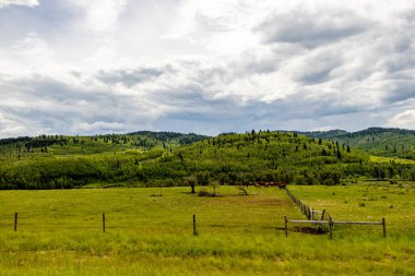 Yeşil tarlalar, göletler ve alçı gökyüzü ülkeyi baştan başa dolaşırken. Willow Creek 'in MD' si, Alberta, Kanada