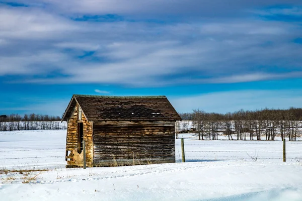 Opuštěné Farmářské Budovy Prériích Alberta Kanada — Stock fotografie