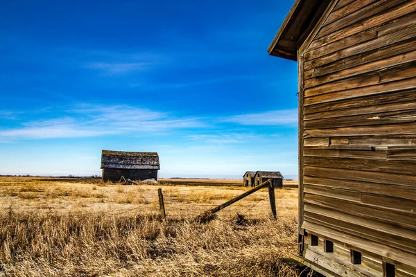 Edifícios Agrícolas Ligados Nas Pradarias Alberta Canadá — Fotografia de Stock