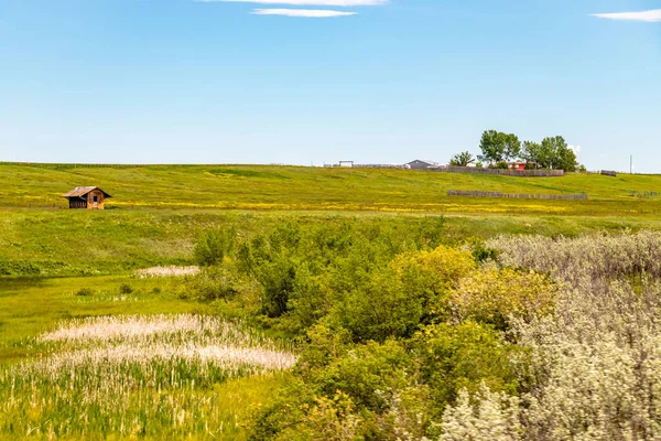 Pole Potoky Projížďce Zemí Okres Foothills Alberta Kanada — Stock fotografie