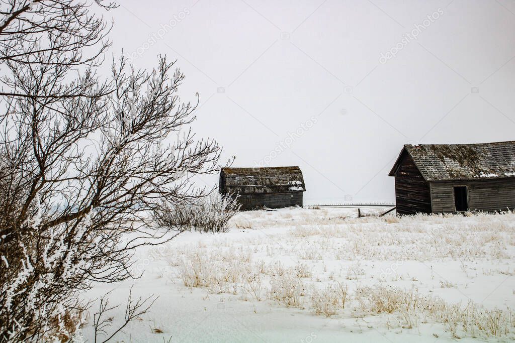 Abondoned farm buildings on a frosty morning. Alberta, Canada