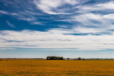 Geniş açık alanlar. Rockyview County, Alberta, Kanada