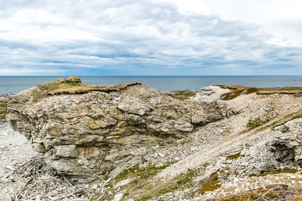 Shoreline Longo Baía Bellburne Terra Nova Canadá — Fotografia de Stock