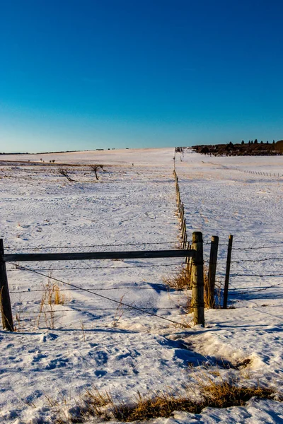 Plotová Čára Zasněženém Poli Springbank Alberta Kanada — Stock fotografie