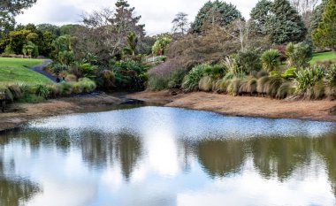 Bahçelerin etrafında bir yürüyüş manzarası. Botanik Bahçeleri, Auckland, Yeni Zelanda