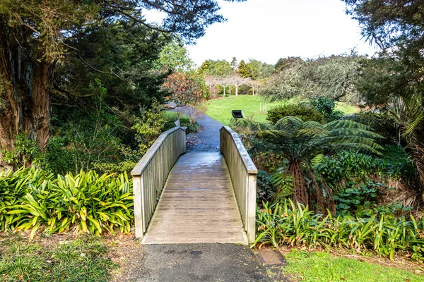 在花园里散步的景色 新西兰奥克兰植物园 — 图库照片