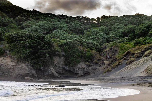 Caras Acantilado Playa Bethels Beach Auckland Nueva Zelanda — Foto de Stock