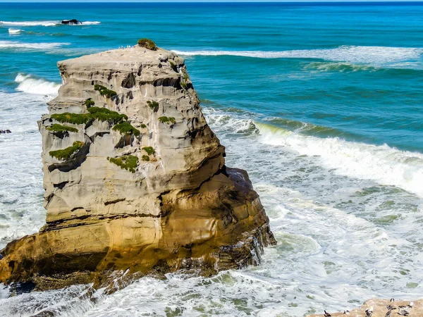 Vagues Écrasent Terre Sur Plage Muriwai Auckland Nouvelle Zélande — Photo