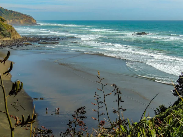 Dalgalar Muriwai Sahili, Auckland, Yeni Zelanda 'da karaya vurdu.