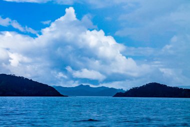 Kiralık bir tekneden adaların manzarası. Adalar Körfezi, Yeni Zeland