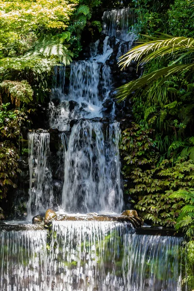 Papel Através Dos Jardins Botânicos Parque Pukekura New Plymouth Taranaki — Fotografia de Stock